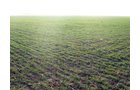 Property photo 7 - 60 Acres Offered in 2 Tracts